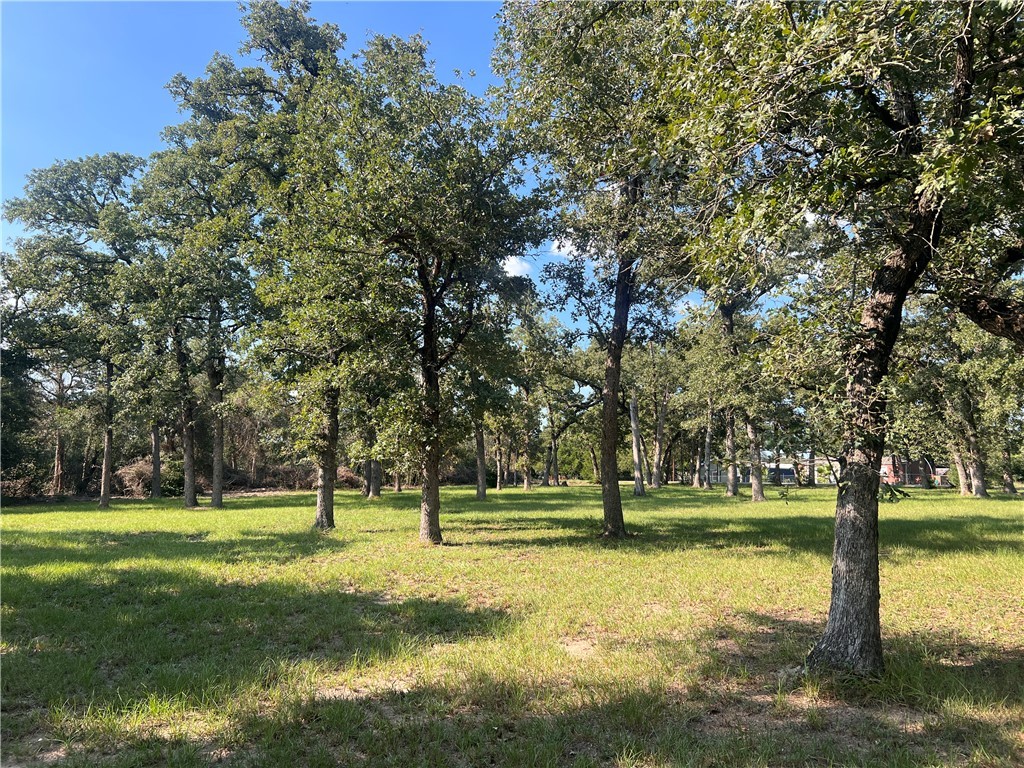 1.921-ac Cardinal Road Caldwell, TX 77836 - Photo 12 of 18 View of green lawn with view of wooded area