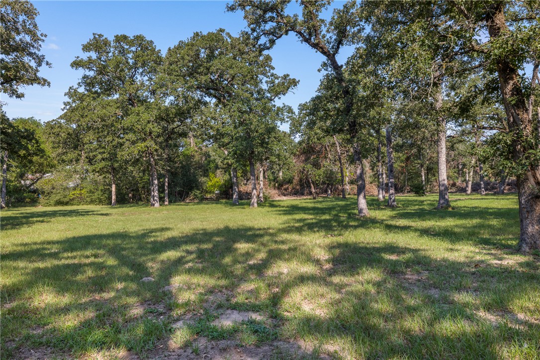 1.921-ac Cardinal Road Caldwell, TX 77836 - Photo 14 of 18 View of grassy yard featuring view of wooded area