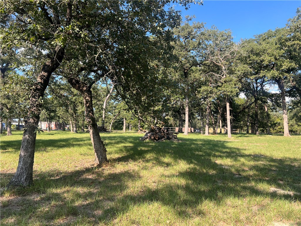 1.921-ac Cardinal Road Caldwell, TX 77836 - Photo 17 of 18 View of grassy yard featuring view of scattered trees