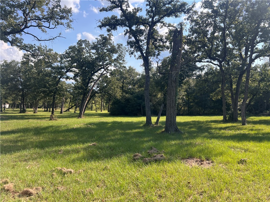 1.921-ac Cardinal Road Caldwell, TX 77836 - Photo 2 of 18 View of grassy yard