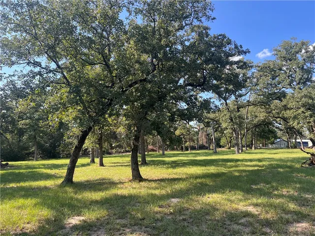 $99,000 | 1.921-ac Cardinal Road, Caldwell, TX 77836