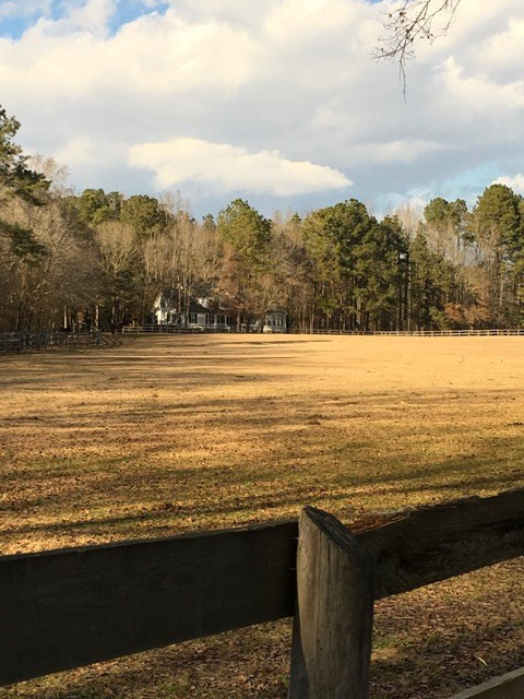 1201 Clayton Road Ridge Spring, SC 29129 - Photo 42 of 56