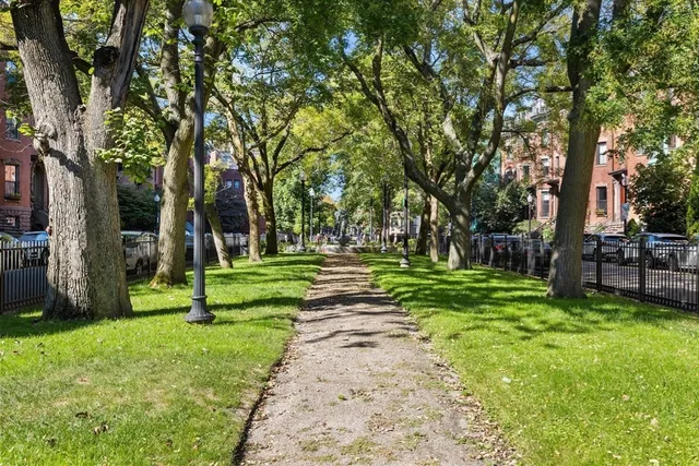 a green field with lots of trees