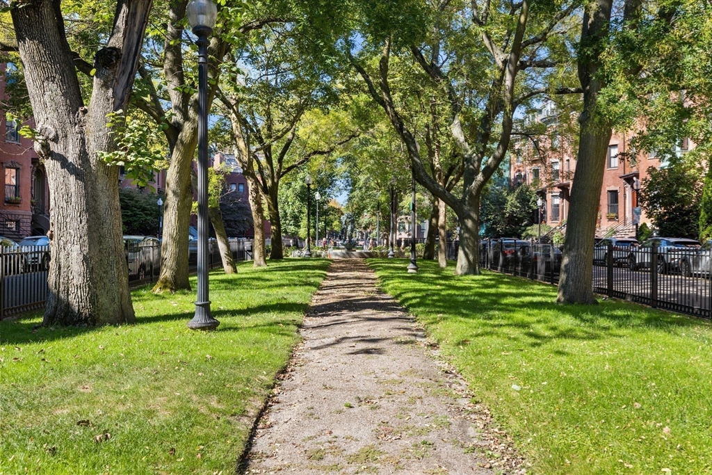 28 Worcester Square, Unit 4 Boston, MA 02118 - Photo 12 of 14 a green field with lots of trees