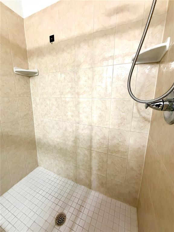 5100 Burchette Road, Unit 3102 Tampa, FL 33647 - Photo 14 of 20