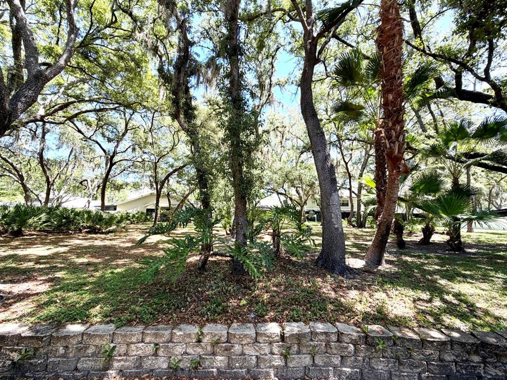 5100 Burchette Road, Unit 3102 Tampa, FL 33647 - Photo 18 of 20