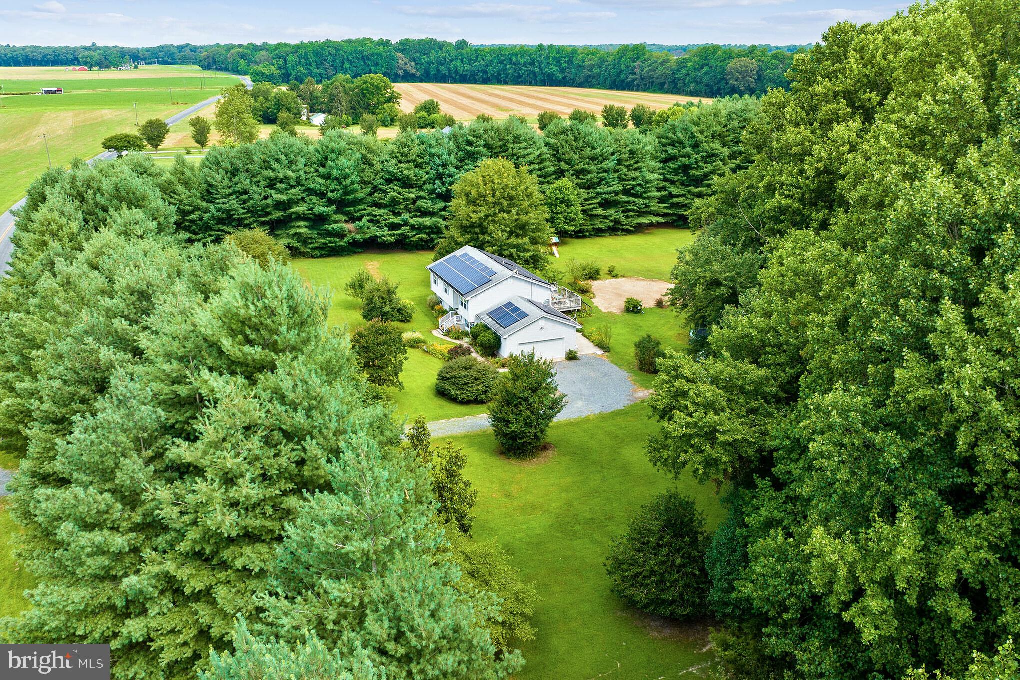 25610 Beauchamp Branch Road Denton, MD 21629 - Photo 41 of 64 Gallery Image 41