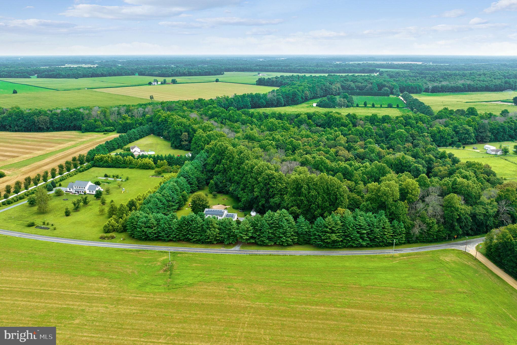 25610 Beauchamp Branch Road Denton, MD 21629 - Photo 44 of 64 Gallery Image 44