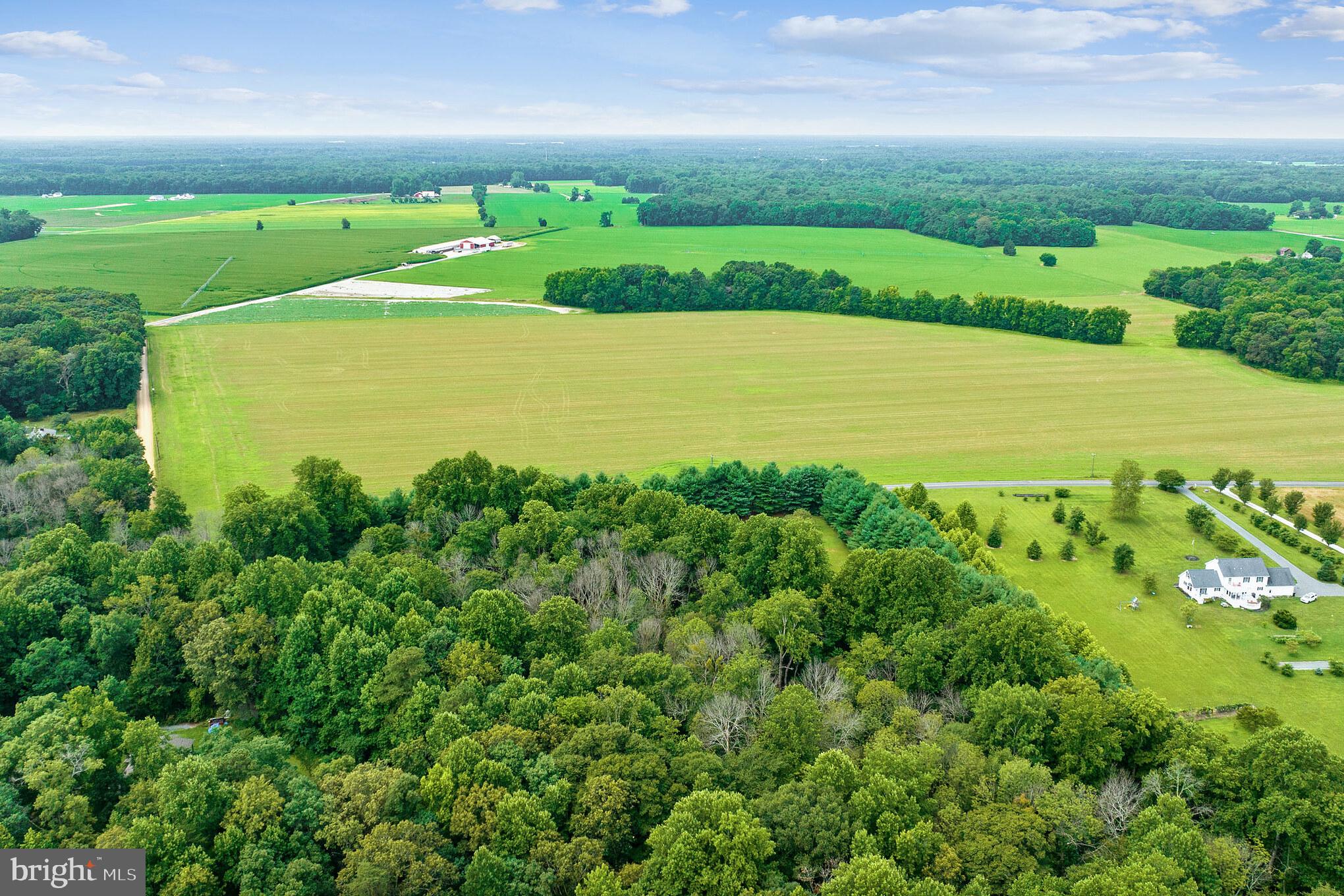 25610 Beauchamp Branch Road Denton, MD 21629 - Photo 46 of 64 Gallery Image 46
