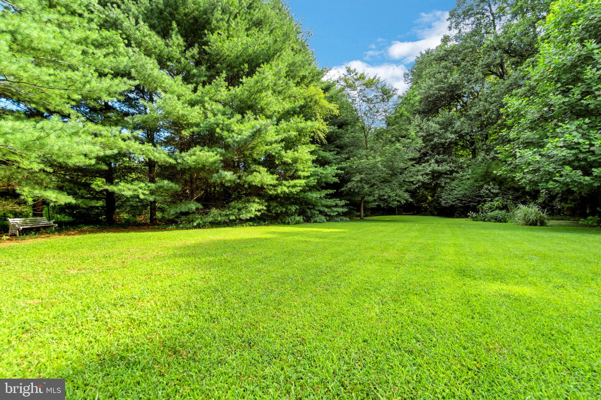 25610 Beauchamp Branch Road Denton, MD 21629 - Photo 58 of 64 Gallery Image 58