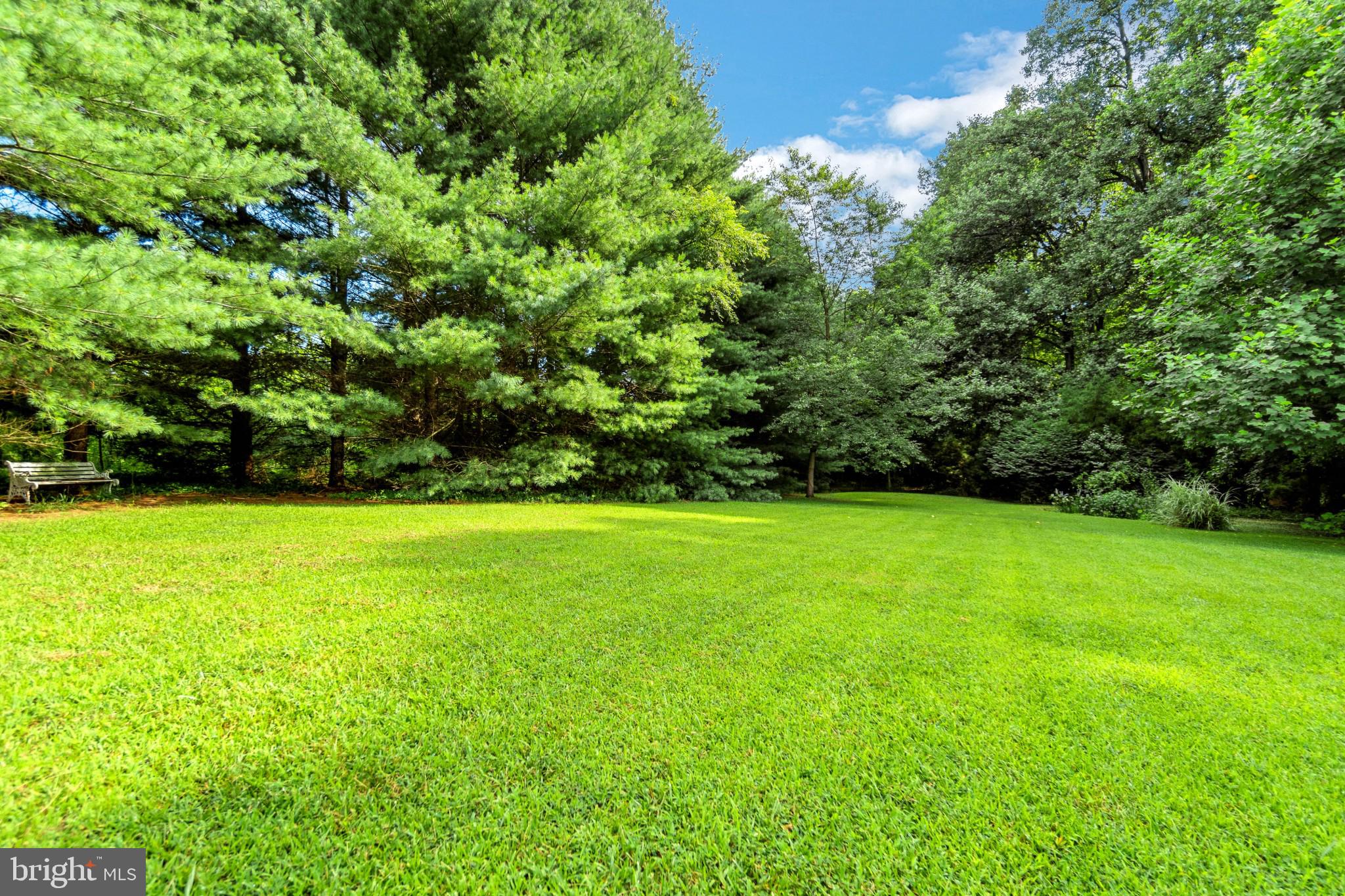 25610 Beauchamp Branch Road Denton, MD 21629 - Photo 59 of 64 Gallery Image 59