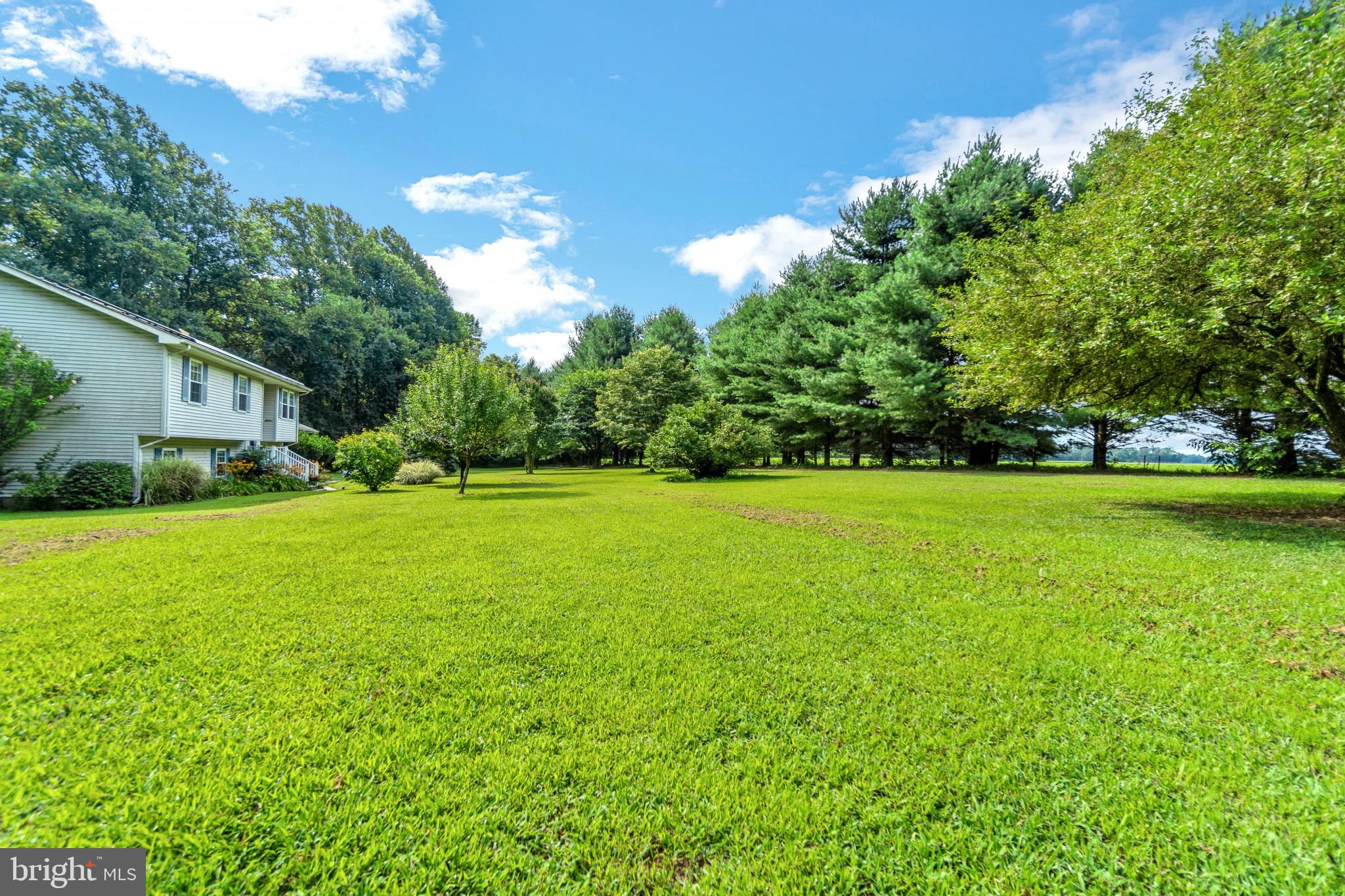 25610 Beauchamp Branch Road Denton, MD 21629 - Photo 60 of 64 Gallery Image 60