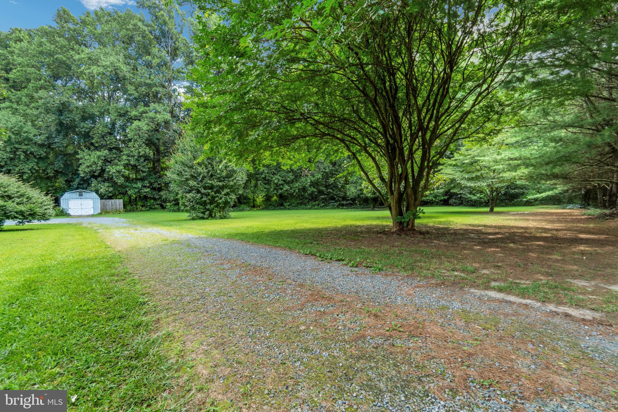 25610 Beauchamp Branch Road Denton, MD 21629 - Photo 62 of 64 Gallery Image 62