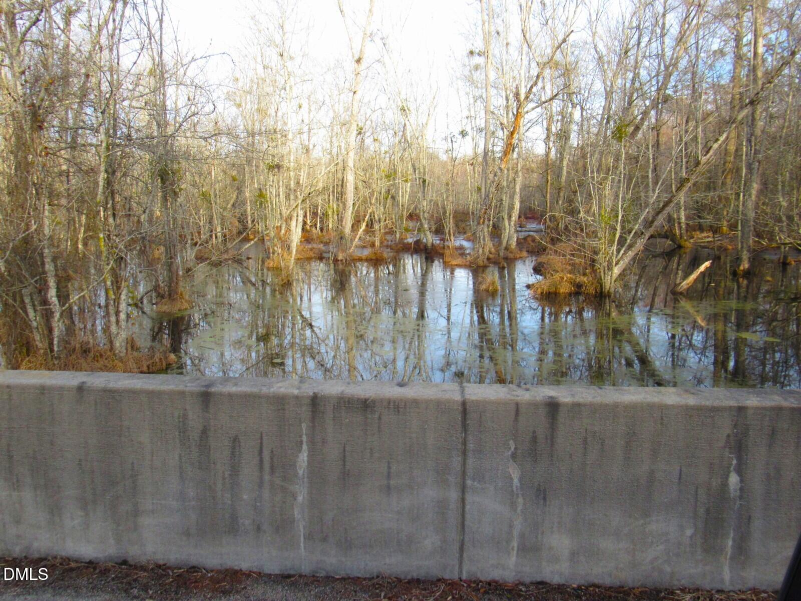7138 Gardners School Road Wilson, NC 27893 - Photo 5 of 13 Bridge view