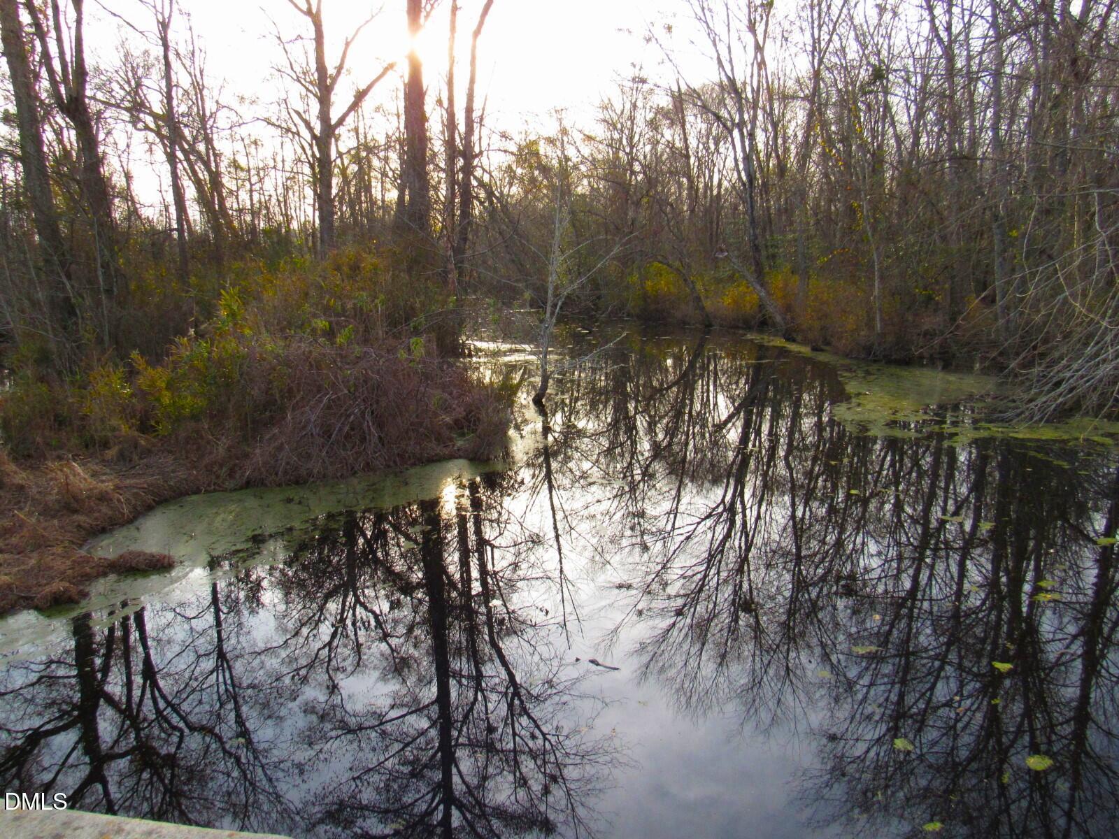 7138 Gardners School Road Wilson, NC 27893 - Photo 6 of 13 Bridge view