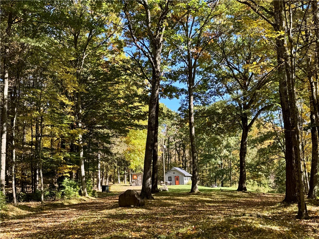 335-339 Arnold Lake Road Hartwick, NY 13807 - Photo 34 of 35 Gallery Image 34