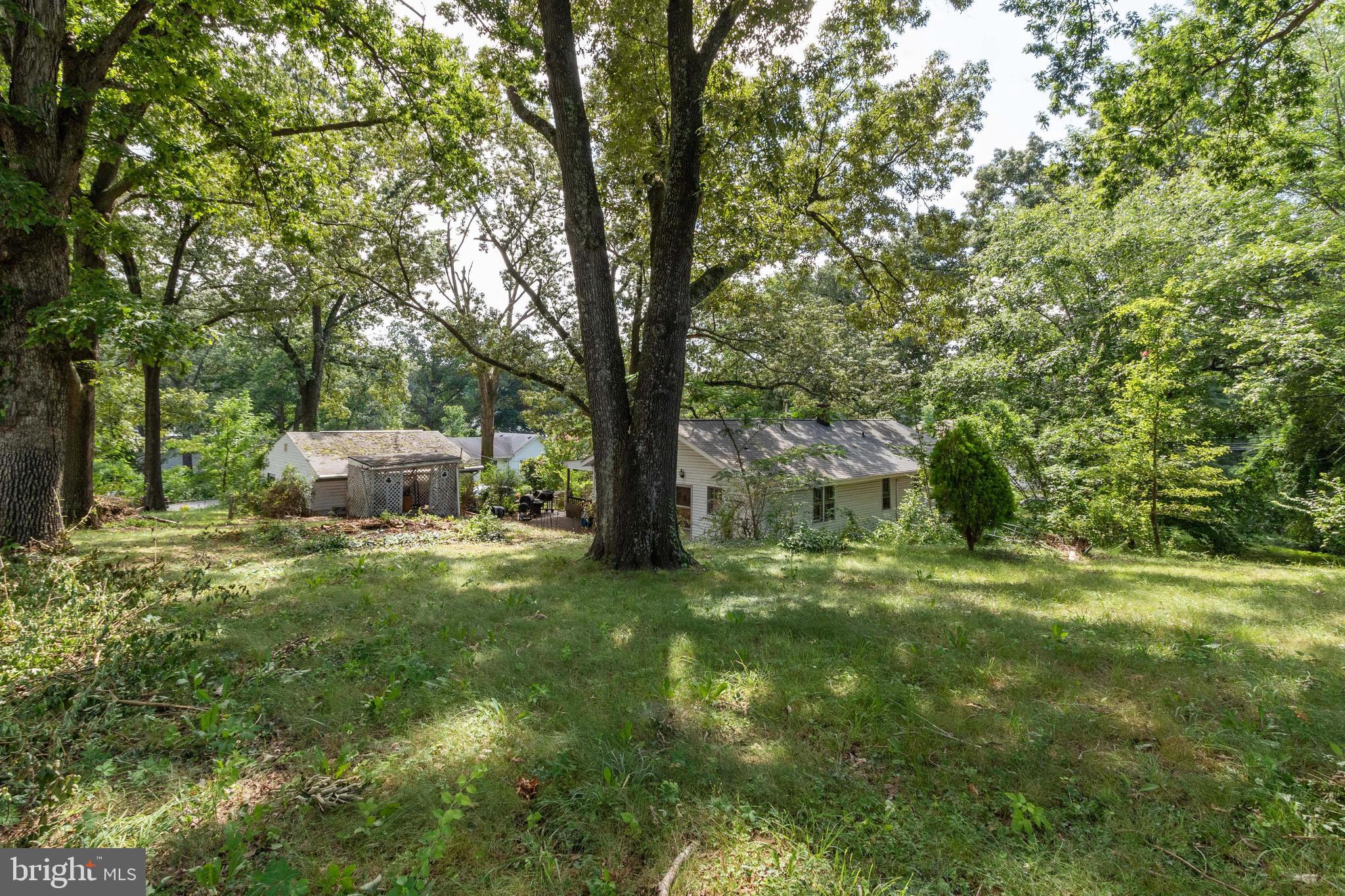 18617 Triangle Street Triangle, VA 22172 - Photo 29 of 30 back yard