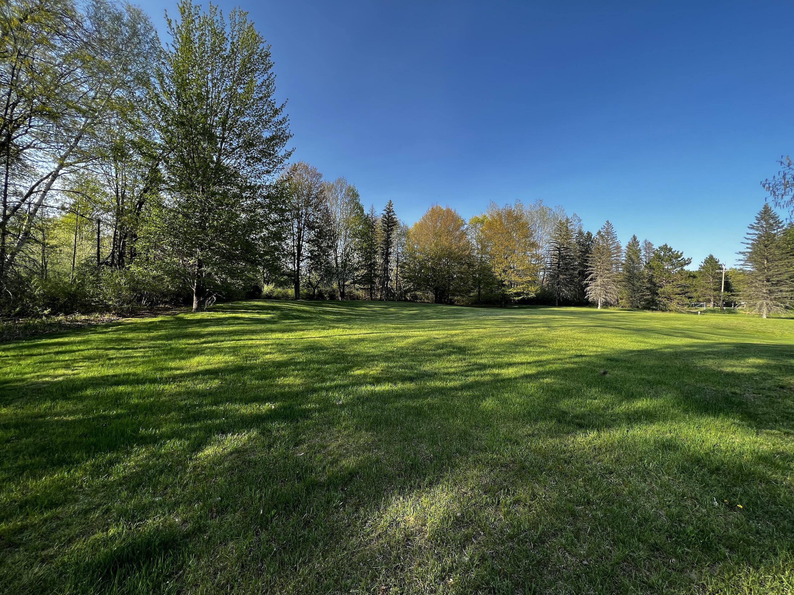11060 Nolan Road Gladwin, MI 48624 - Photo 101 of 224 IMG_1147