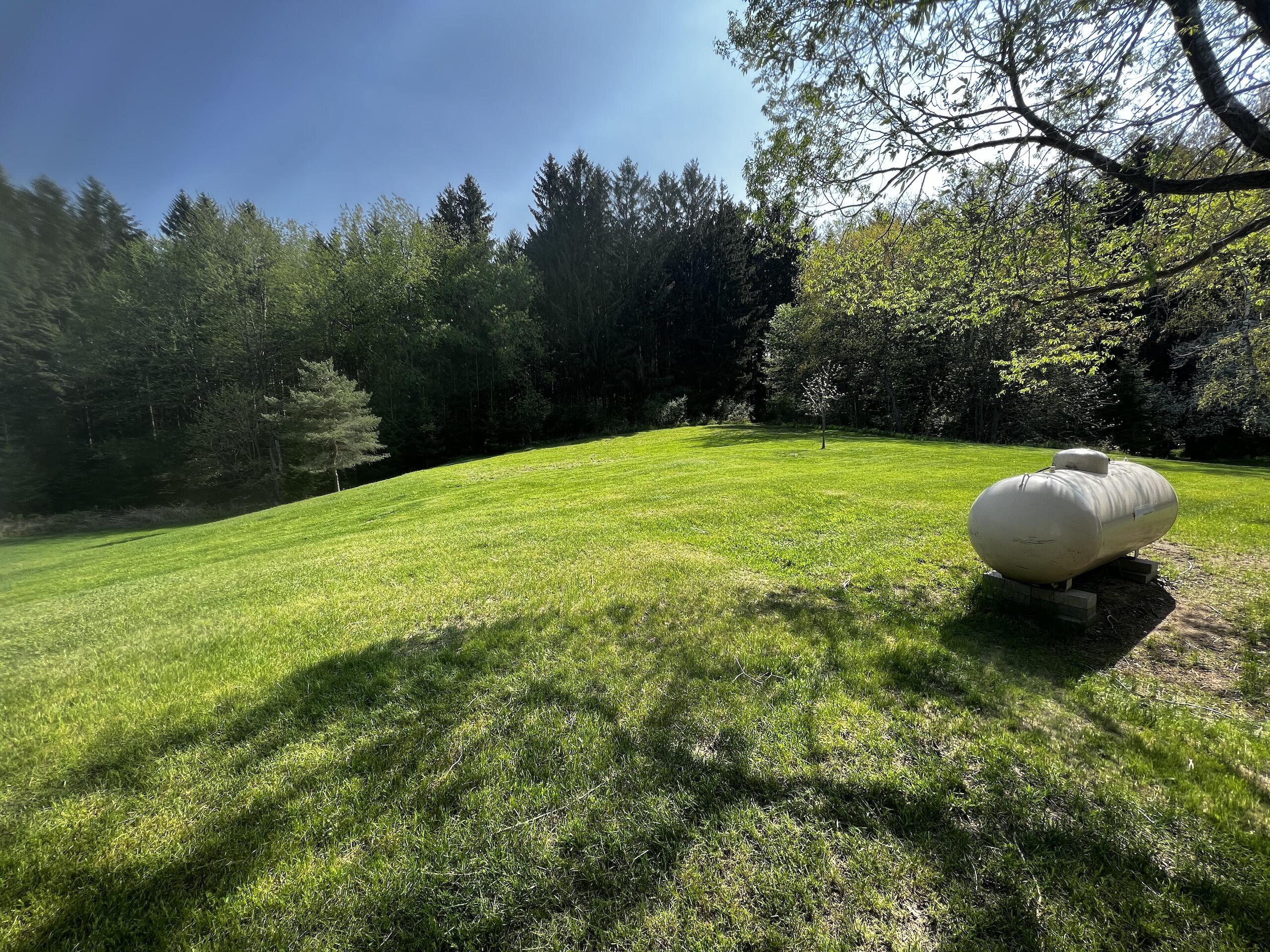 11060 Nolan Road Gladwin, MI 48624 - Photo 12 of 224 IMG_1030