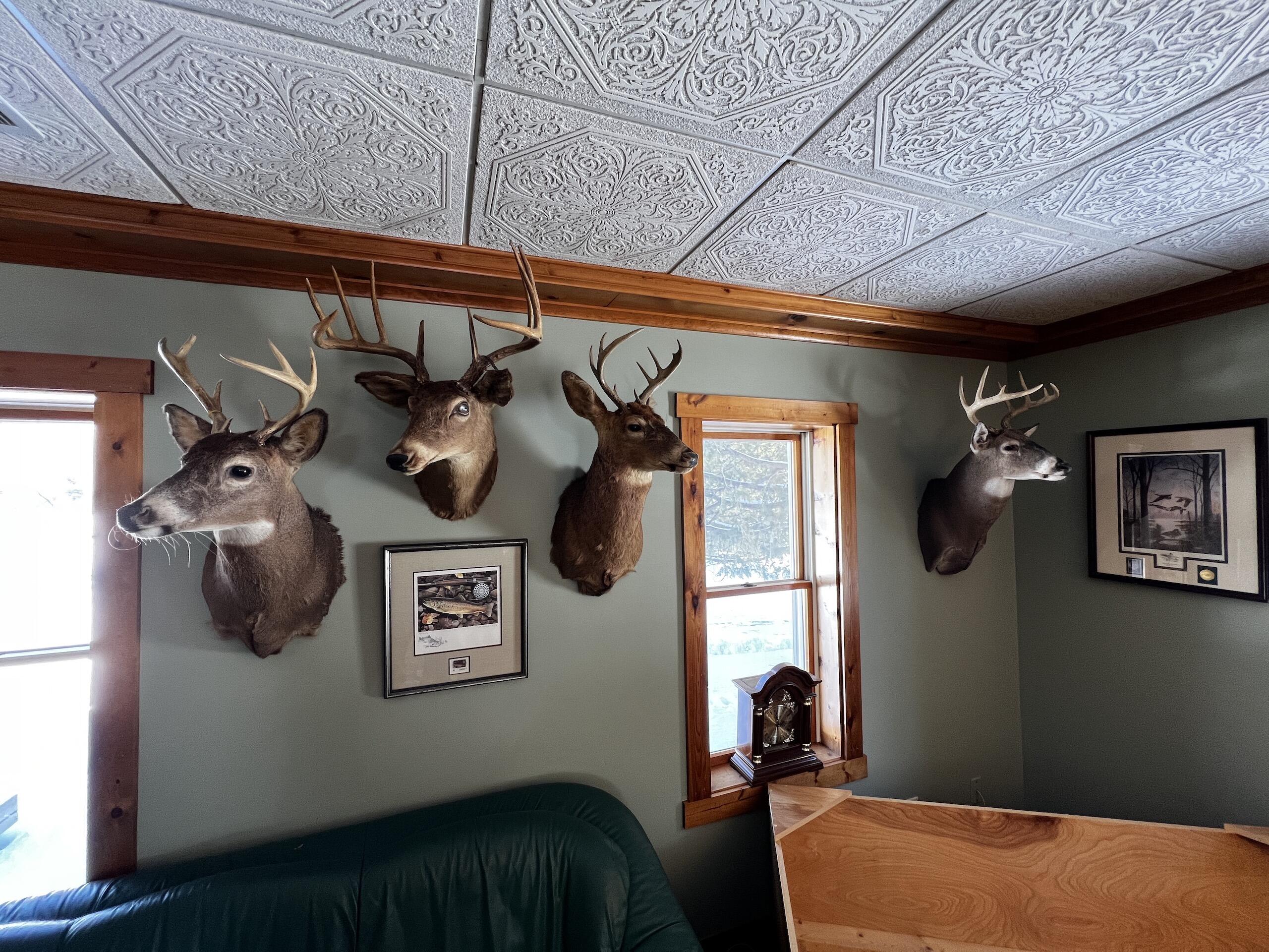 11060 Nolan Road Gladwin, MI 48624 - Photo 129 of 224 IMG_8857