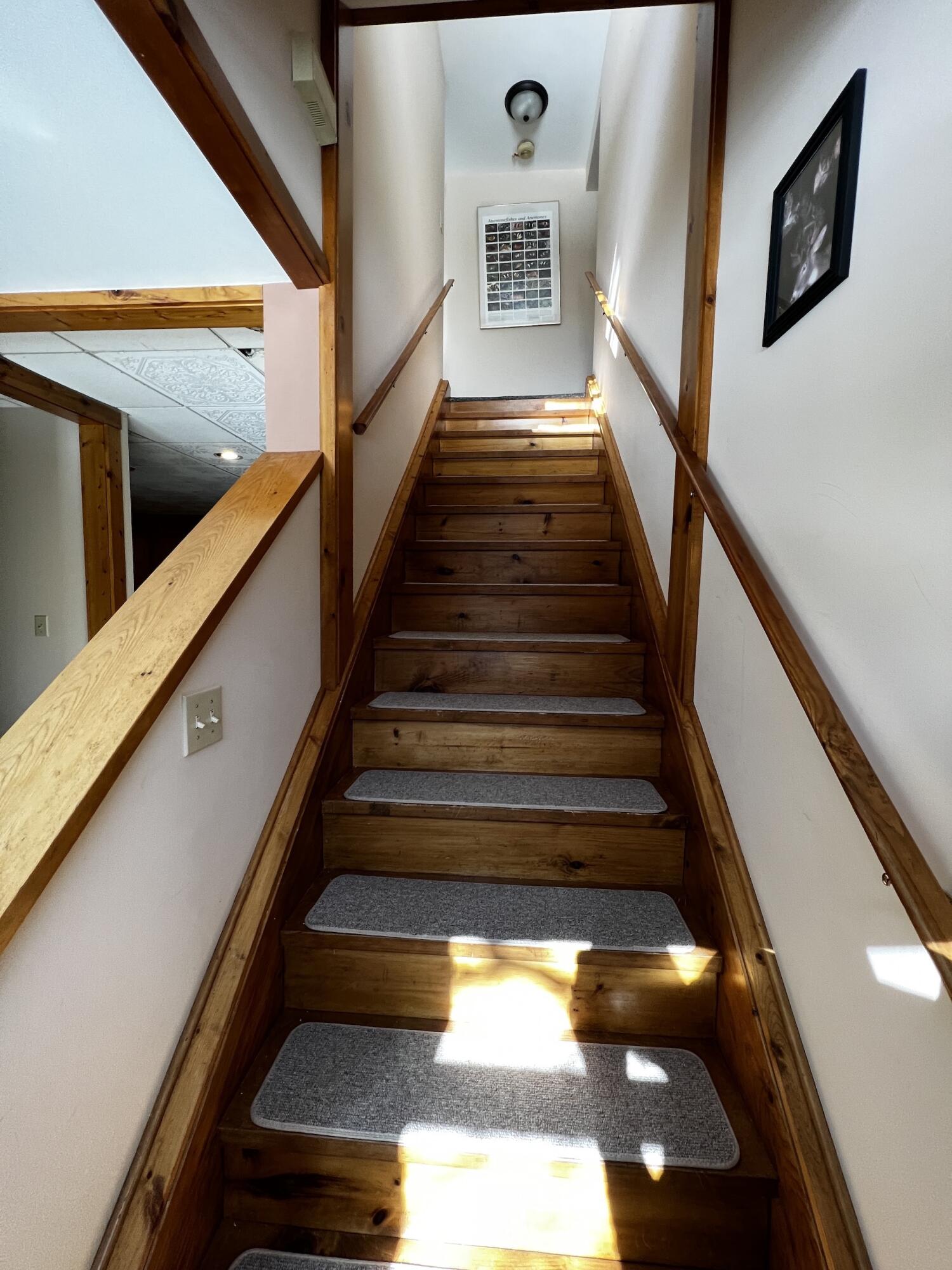 11060 Nolan Road Gladwin, MI 48624 - Photo 140 of 224 IMG_8870