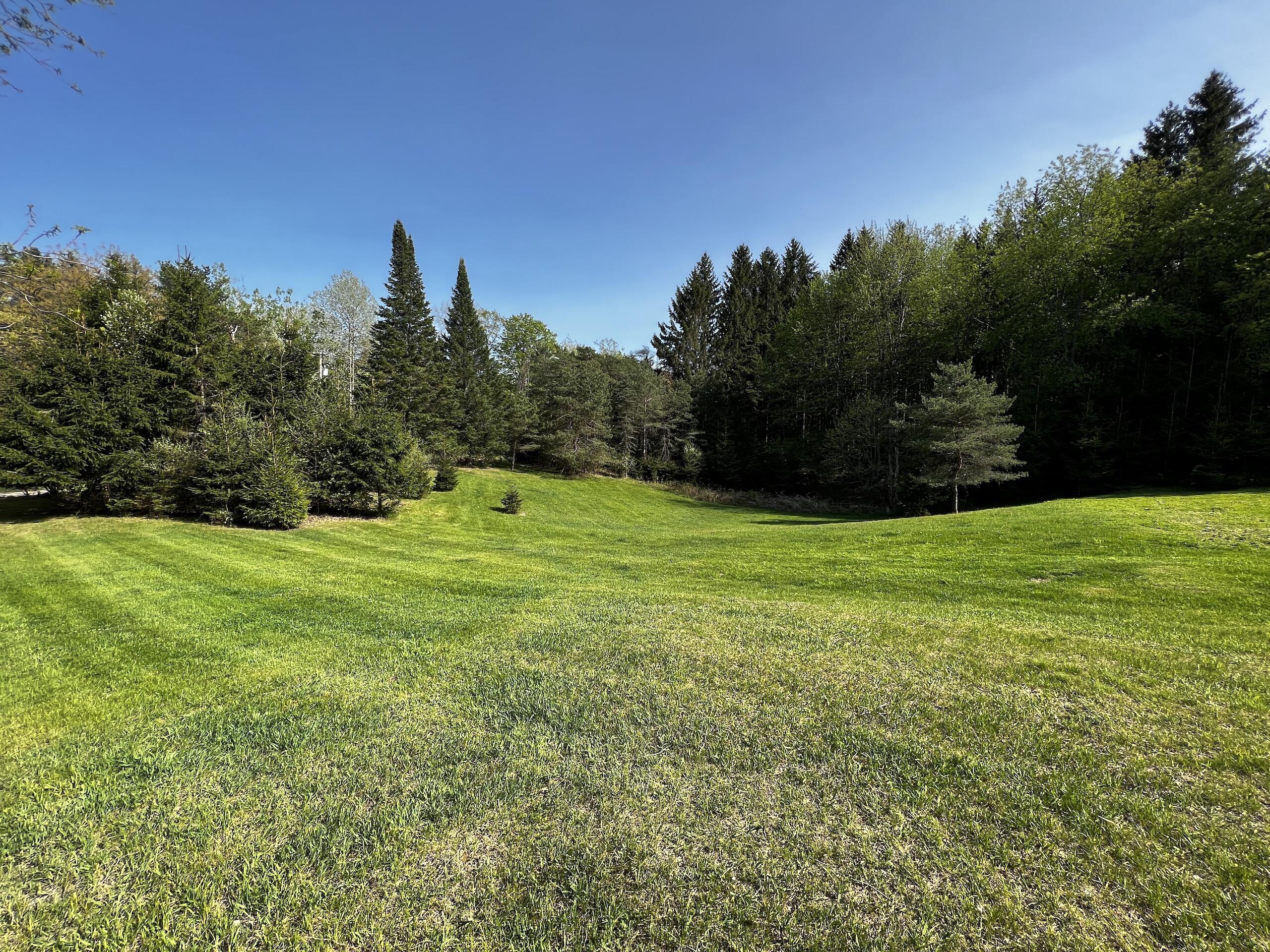 11060 Nolan Road Gladwin, MI 48624 - Photo 14 of 224 IMG_1034