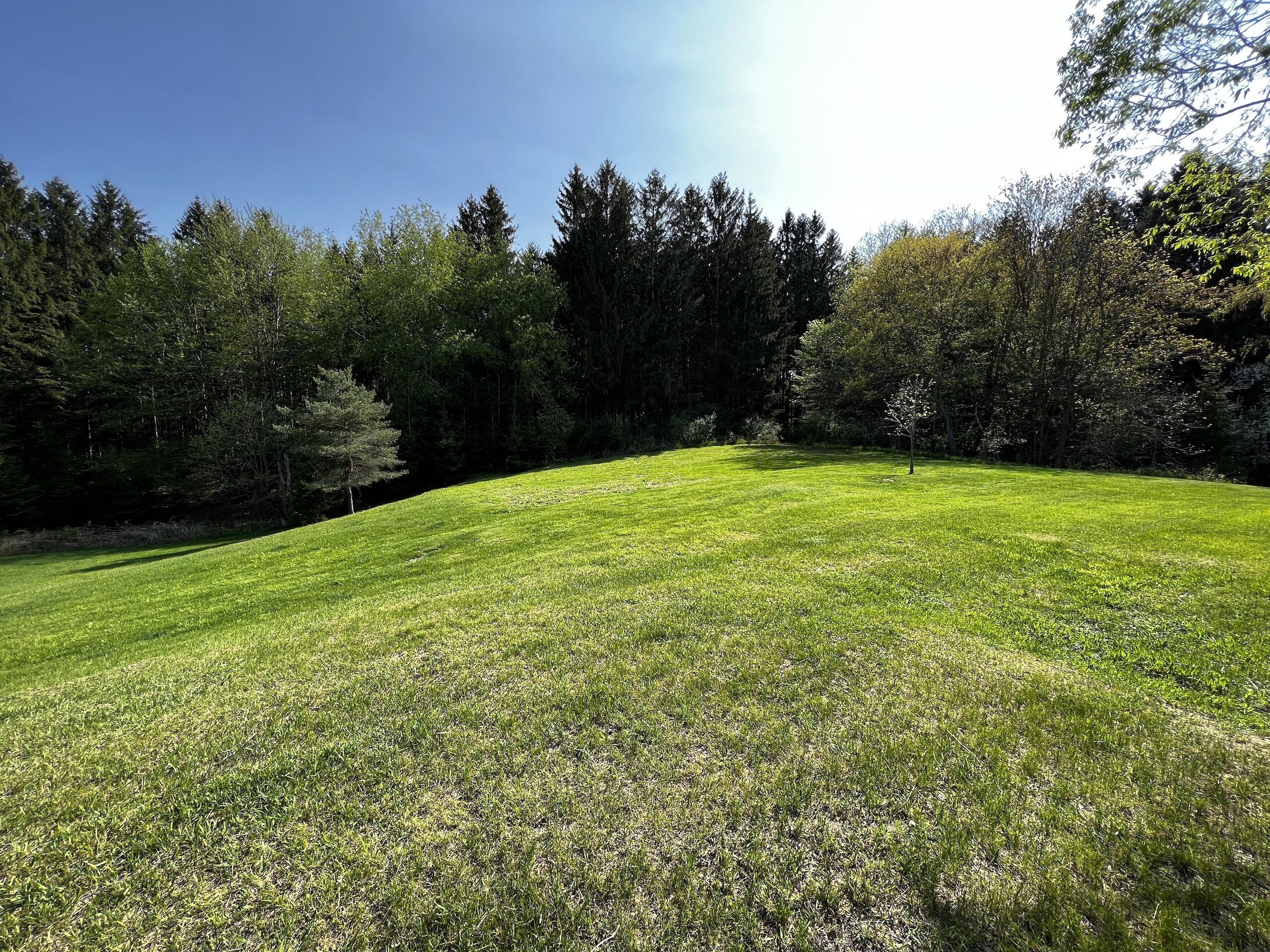 11060 Nolan Road Gladwin, MI 48624 - Photo 15 of 224 IMG_1035