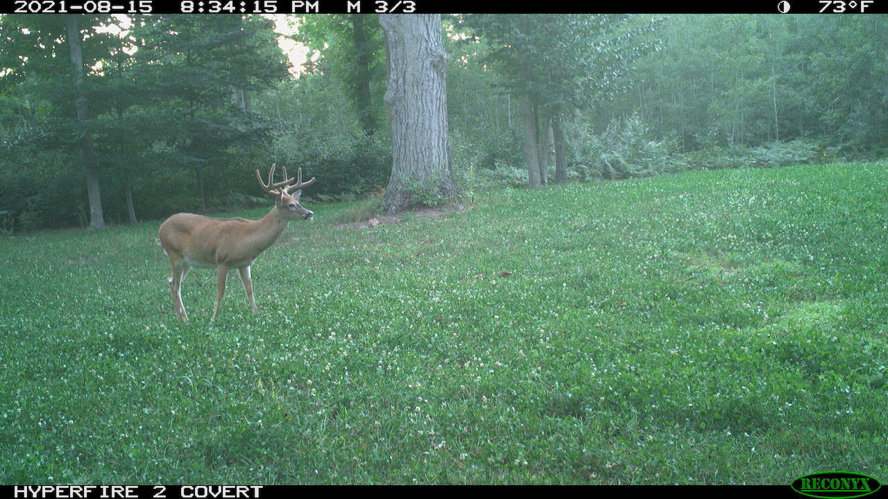 11060 Nolan Road Gladwin, MI 48624 - Photo 155 of 224 Copy of RCNX0954