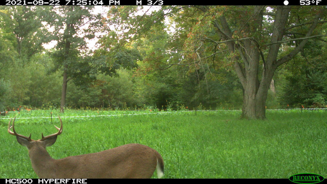 11060 Nolan Road Gladwin, MI 48624 - Photo 156 of 224 IMG_0018