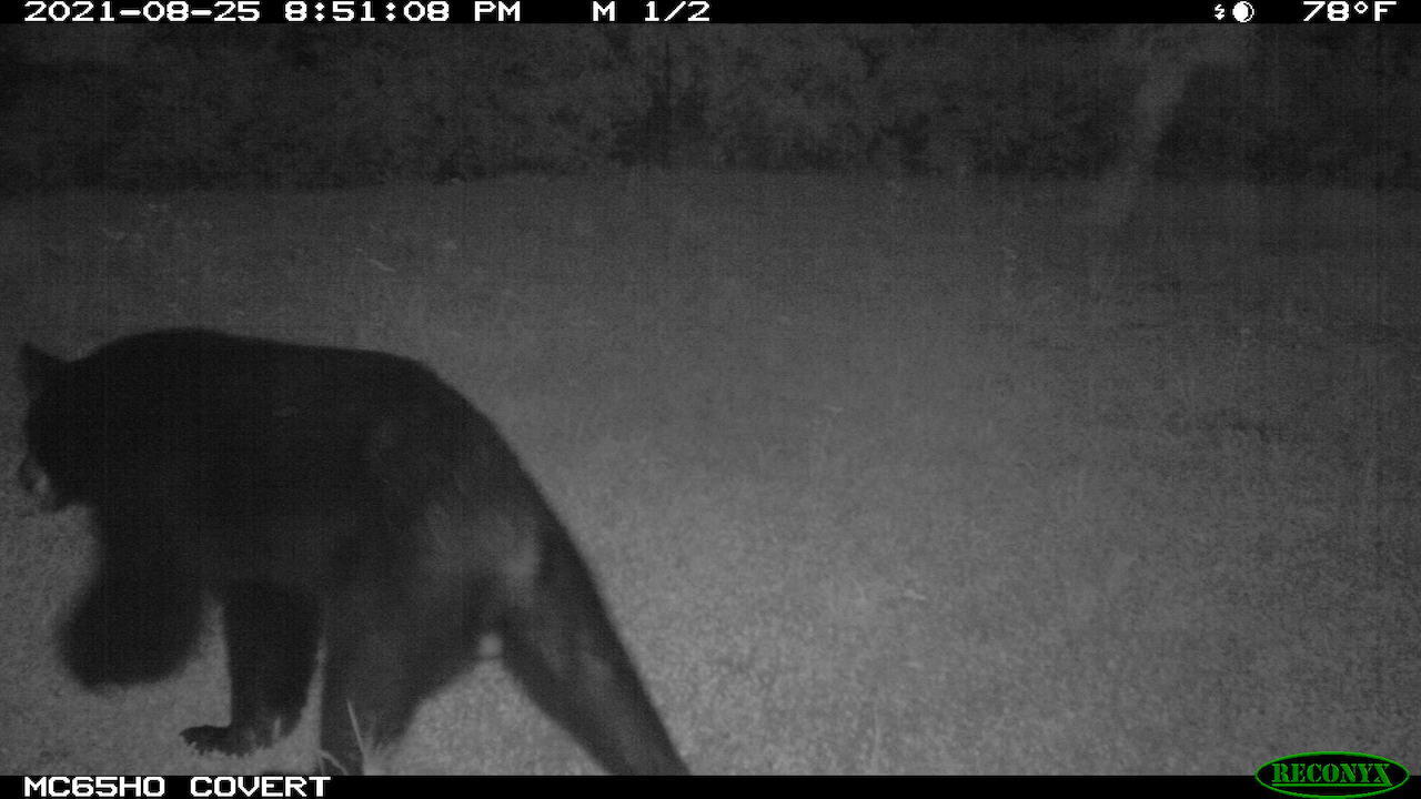11060 Nolan Road Gladwin, MI 48624 - Photo 159 of 224 IMG_0161