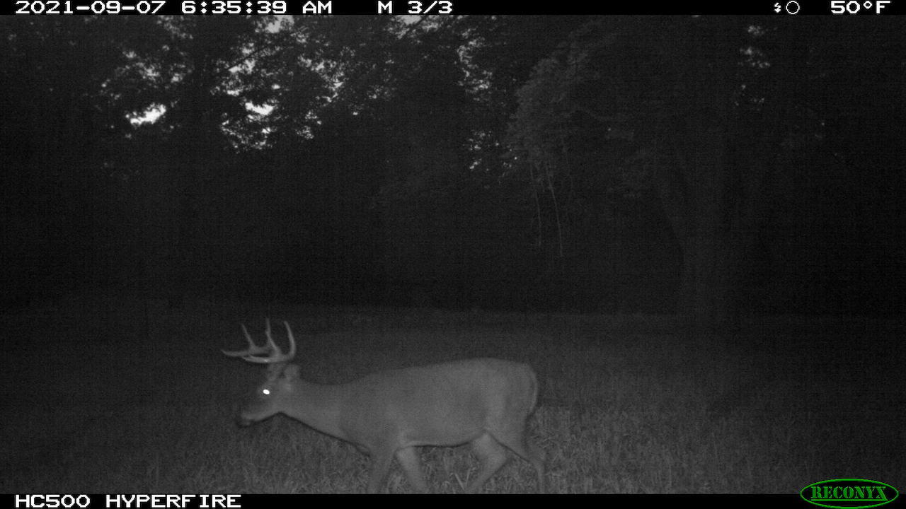 11060 Nolan Road Gladwin, MI 48624 - Photo 160 of 224 IMG_0162