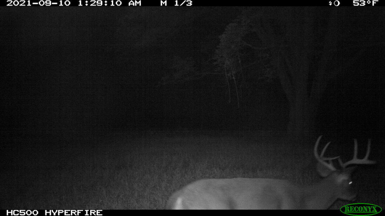 11060 Nolan Road Gladwin, MI 48624 - Photo 162 of 224 IMG_0283