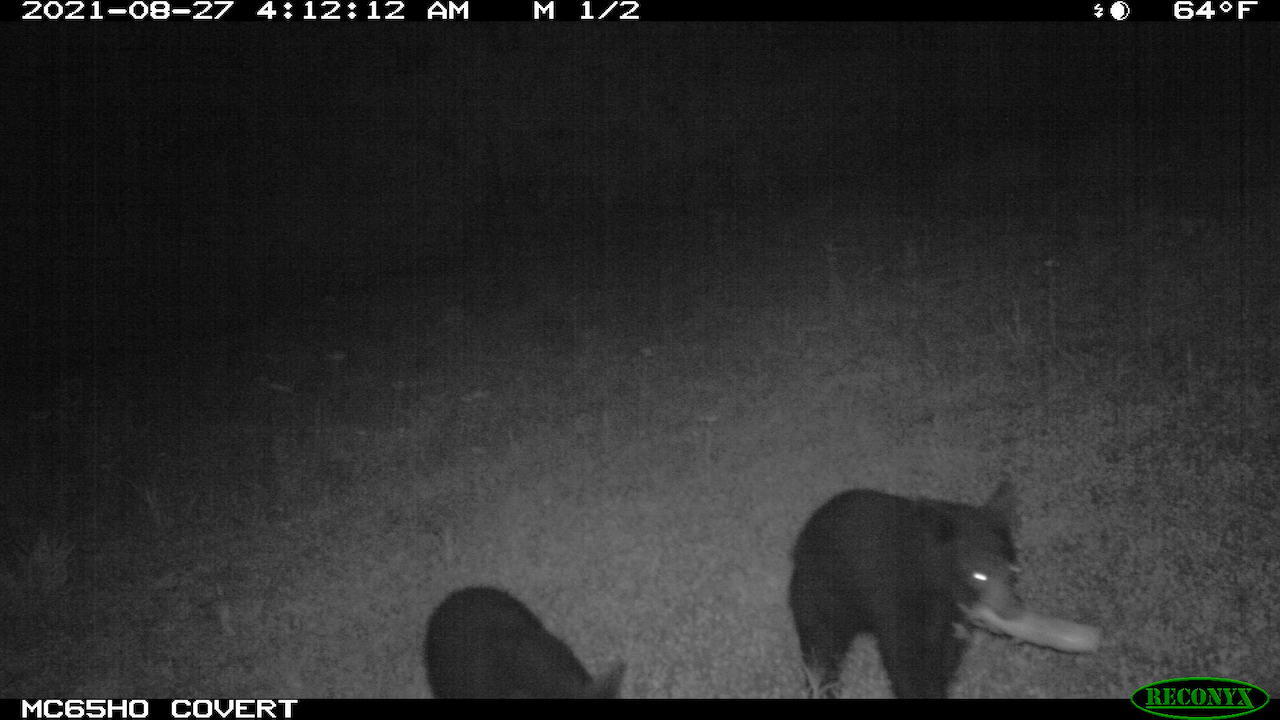 11060 Nolan Road Gladwin, MI 48624 - Photo 163 of 224 IMG_0307