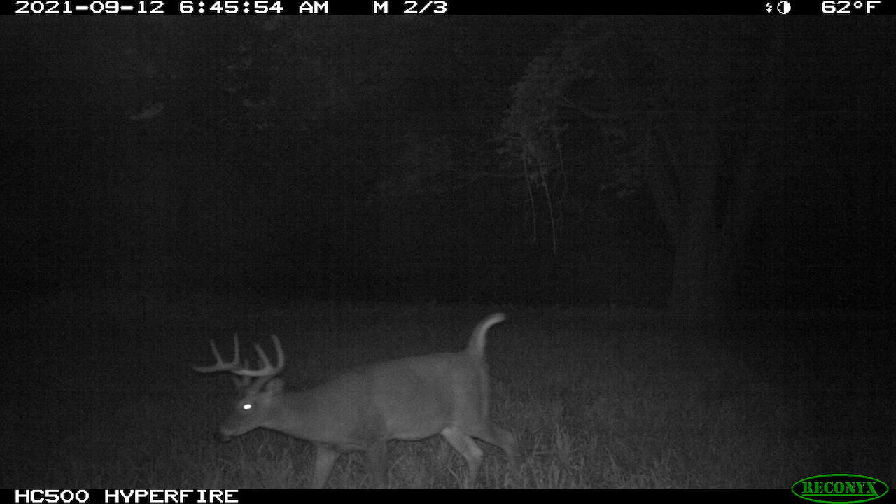 11060 Nolan Road Gladwin, MI 48624 - Photo 164 of 224 IMG_0518