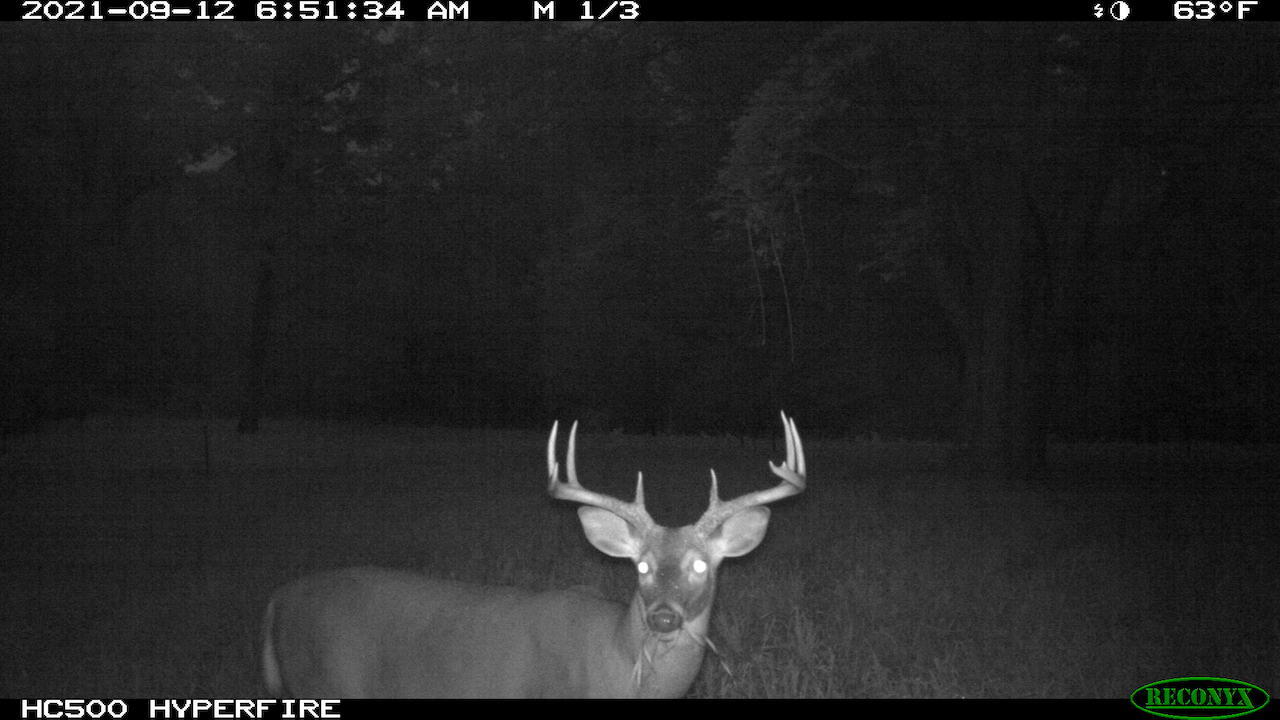 11060 Nolan Road Gladwin, MI 48624 - Photo 165 of 224 IMG_0556