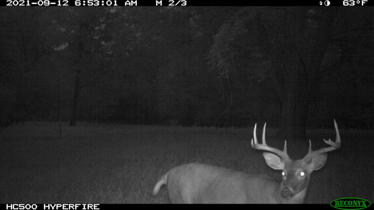 11060 Nolan Road Gladwin, MI 48624 - Photo 166 of 224 IMG_0581