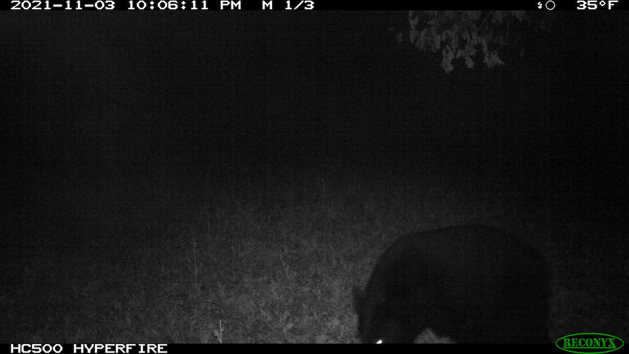 11060 Nolan Road Gladwin, MI 48624 - Photo 167 of 224 IMG_0745