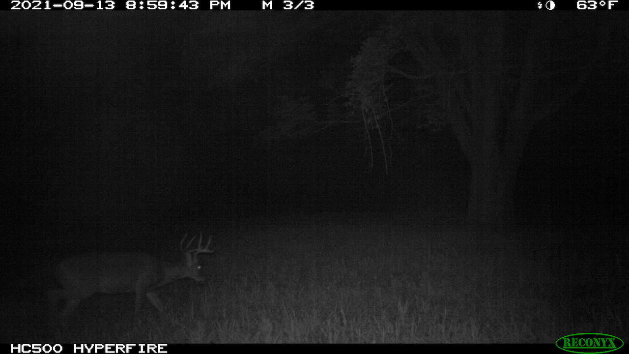11060 Nolan Road Gladwin, MI 48624 - Photo 168 of 224 IMG_0843