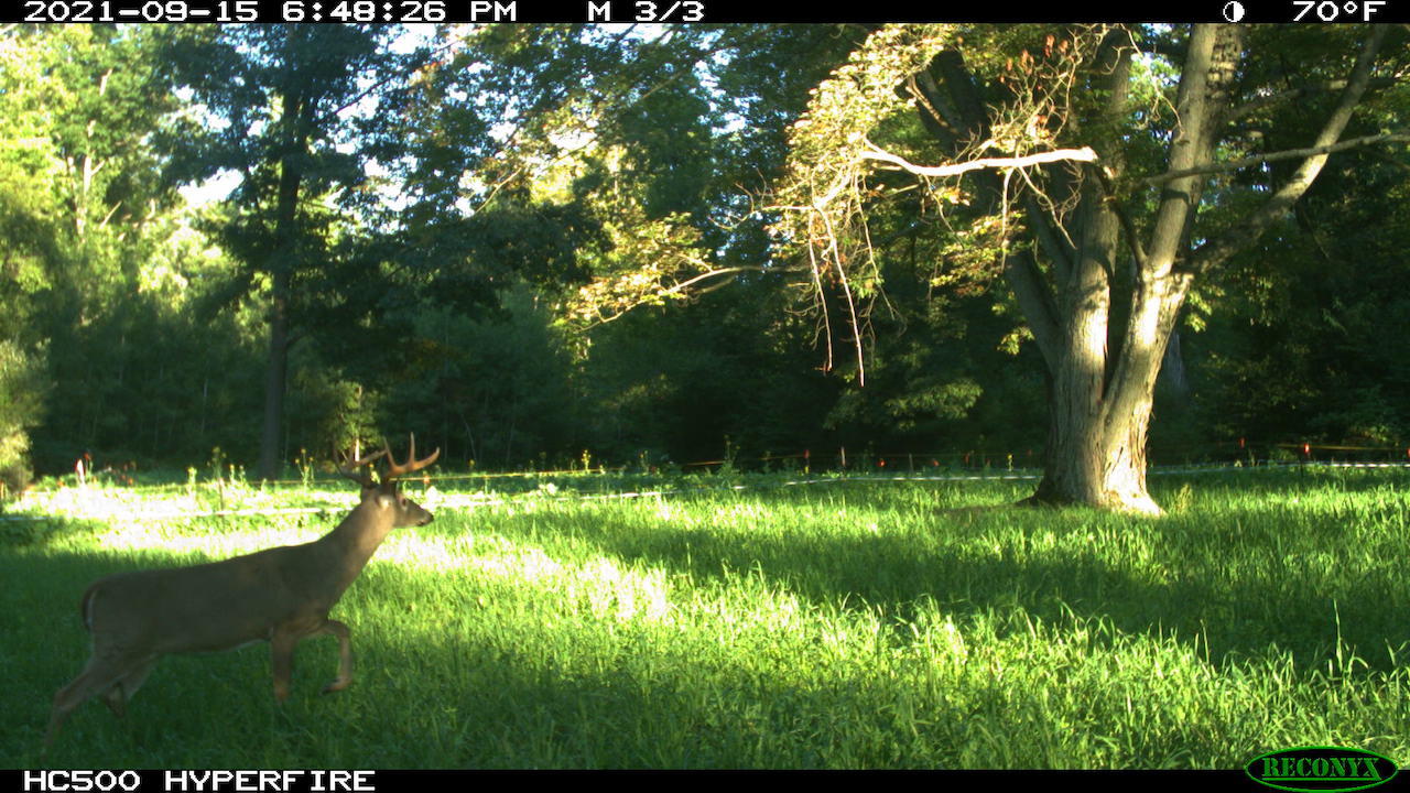 11060 Nolan Road Gladwin, MI 48624 - Photo 169 of 224 IMG_1047