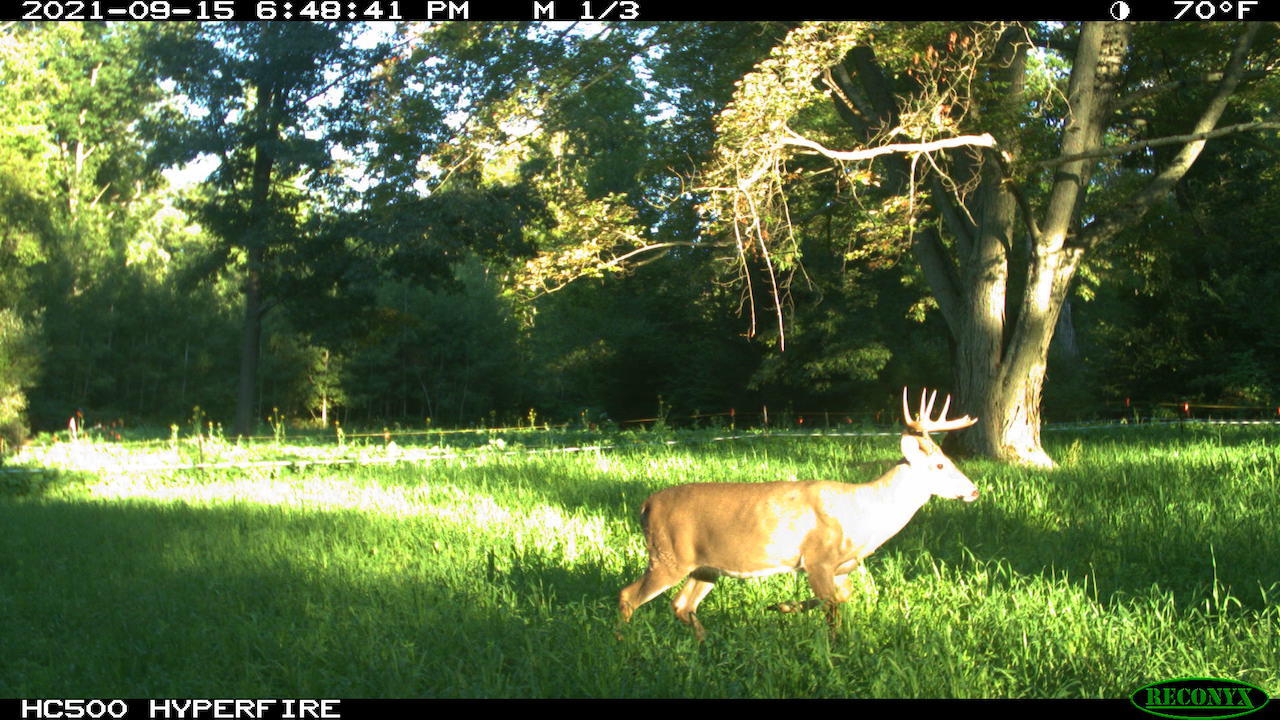 11060 Nolan Road Gladwin, MI 48624 - Photo 170 of 224 IMG_1048