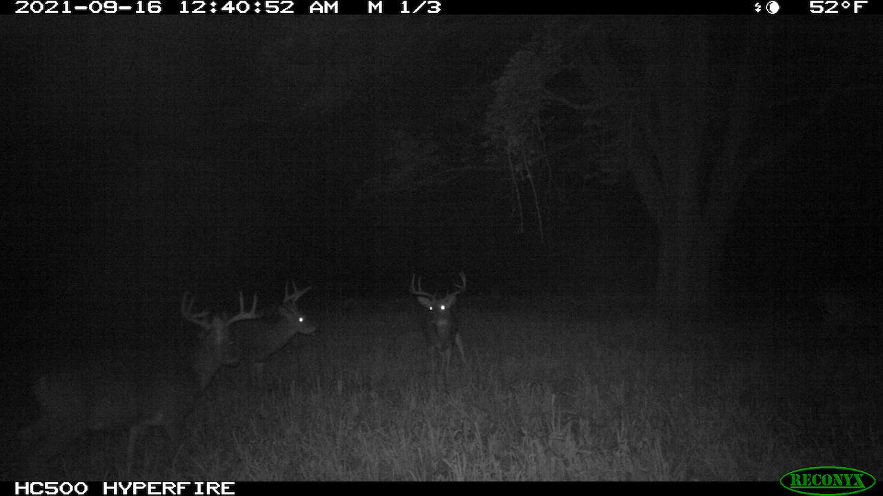 11060 Nolan Road Gladwin, MI 48624 - Photo 171 of 224 IMG_1150