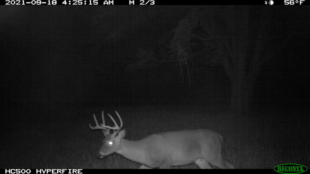 11060 Nolan Road Gladwin, MI 48624 - Photo 173 of 224 IMG_1475