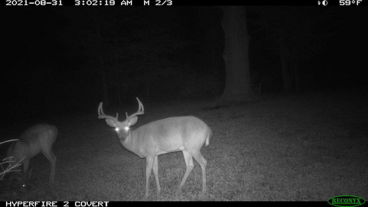 11060 Nolan Road Gladwin, MI 48624 - Photo 178 of 224 RCNX0062