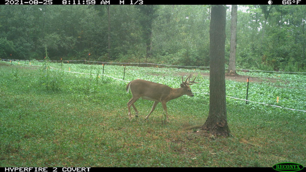 11060 Nolan Road Gladwin, MI 48624 - Photo 179 of 224 RCNX0106