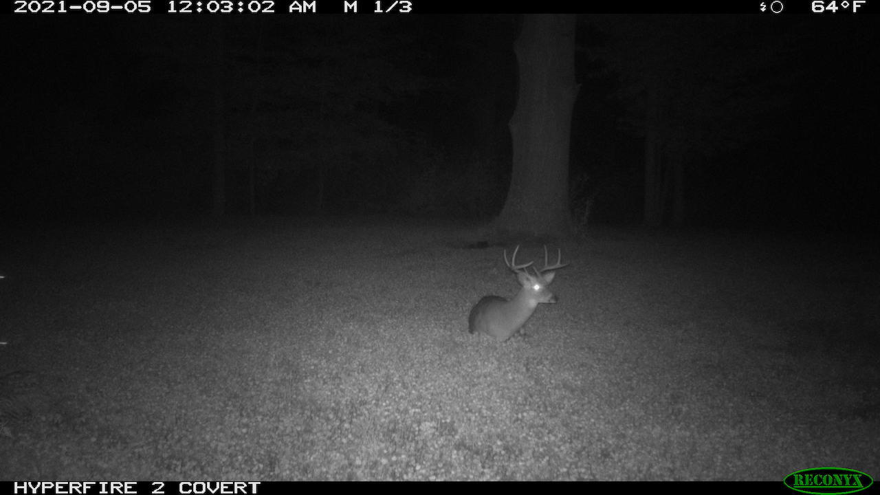 11060 Nolan Road Gladwin, MI 48624 - Photo 180 of 224 RCNX0154