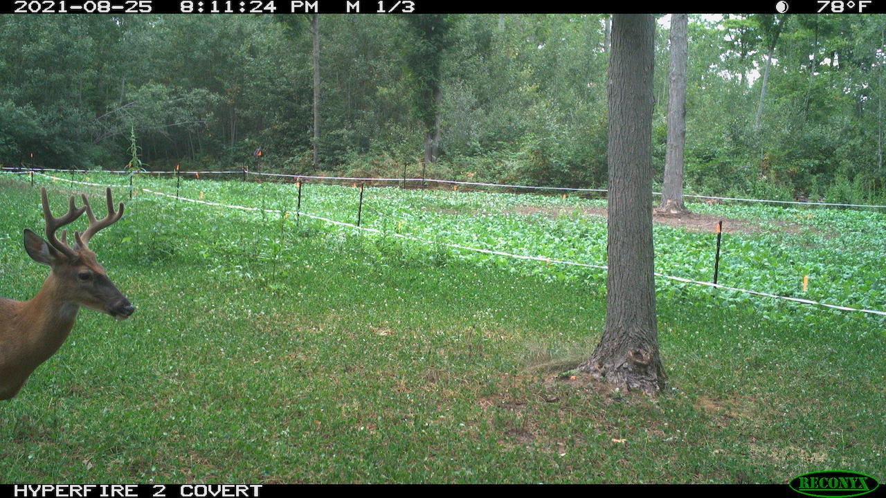 11060 Nolan Road Gladwin, MI 48624 - Photo 181 of 224 RCNX0199