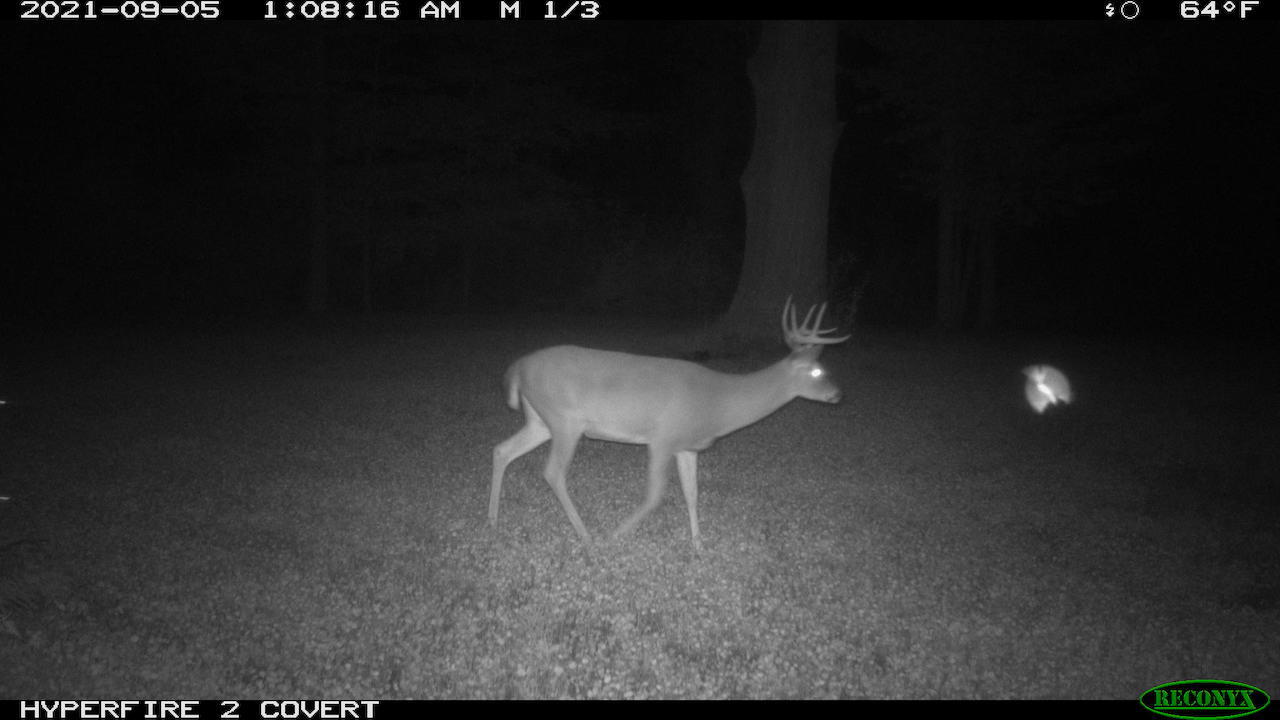 11060 Nolan Road Gladwin, MI 48624 - Photo 182 of 224 RCNX0220