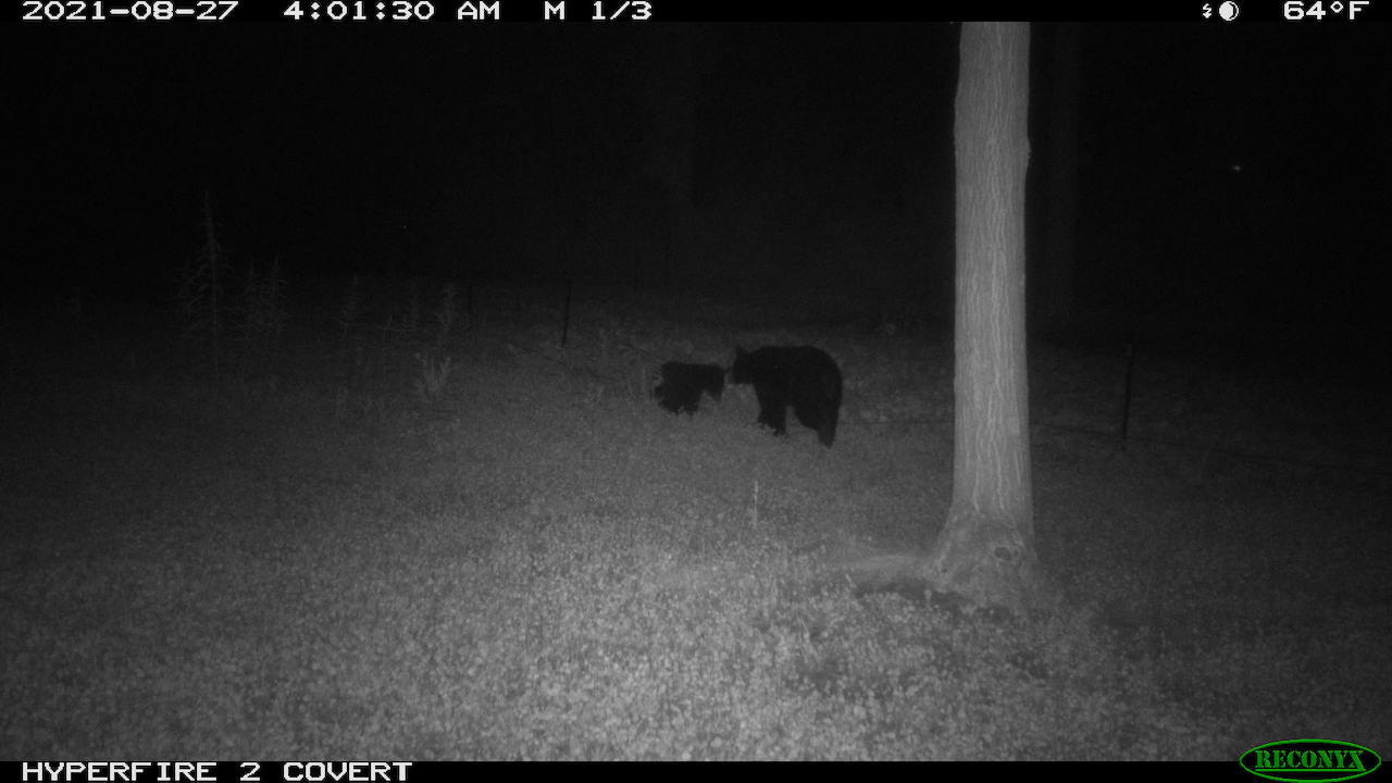 11060 Nolan Road Gladwin, MI 48624 - Photo 184 of 224 RCNX0244