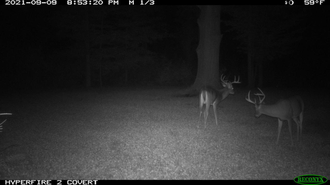11060 Nolan Road Gladwin, MI 48624 - Photo 185 of 224 RCNX0340