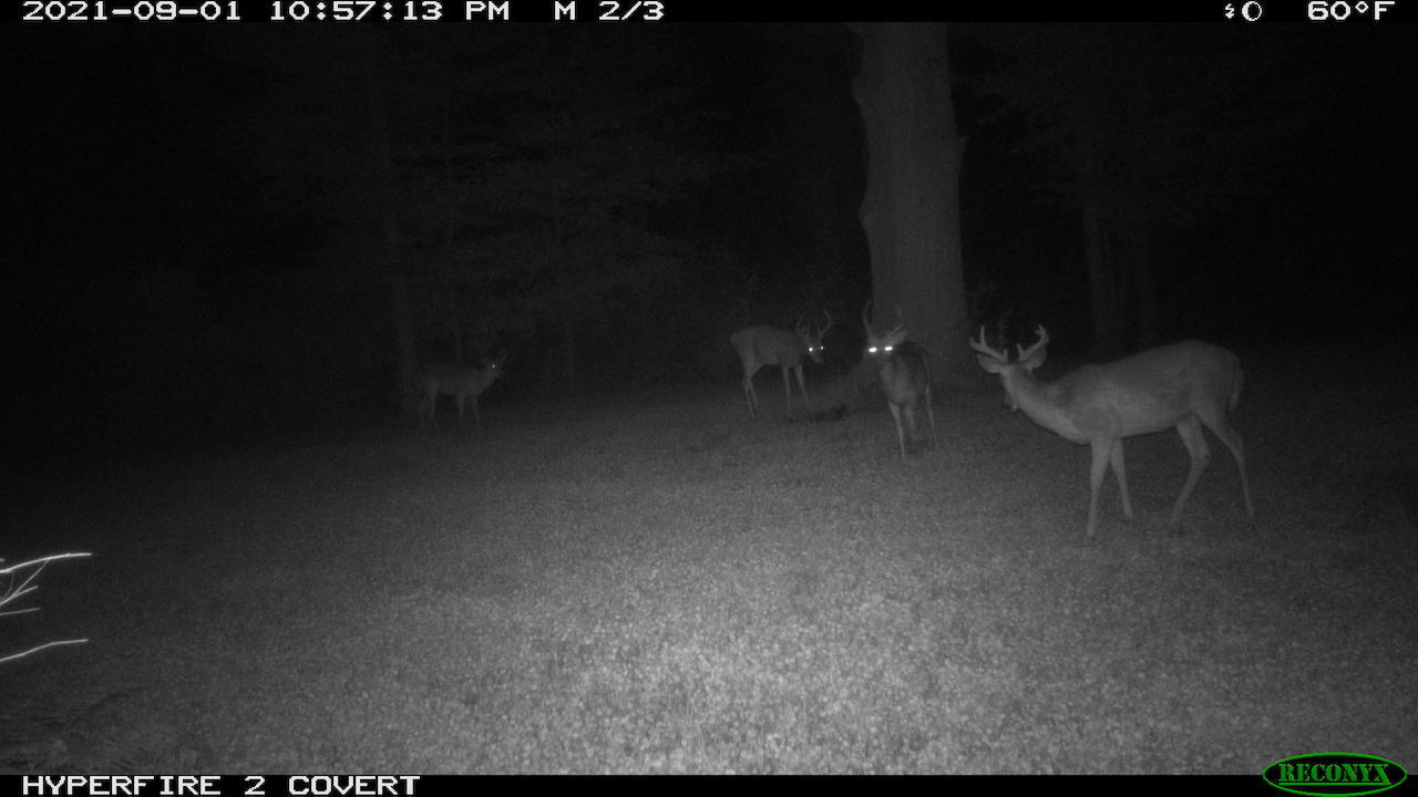 11060 Nolan Road Gladwin, MI 48624 - Photo 186 of 224 RCNX0359